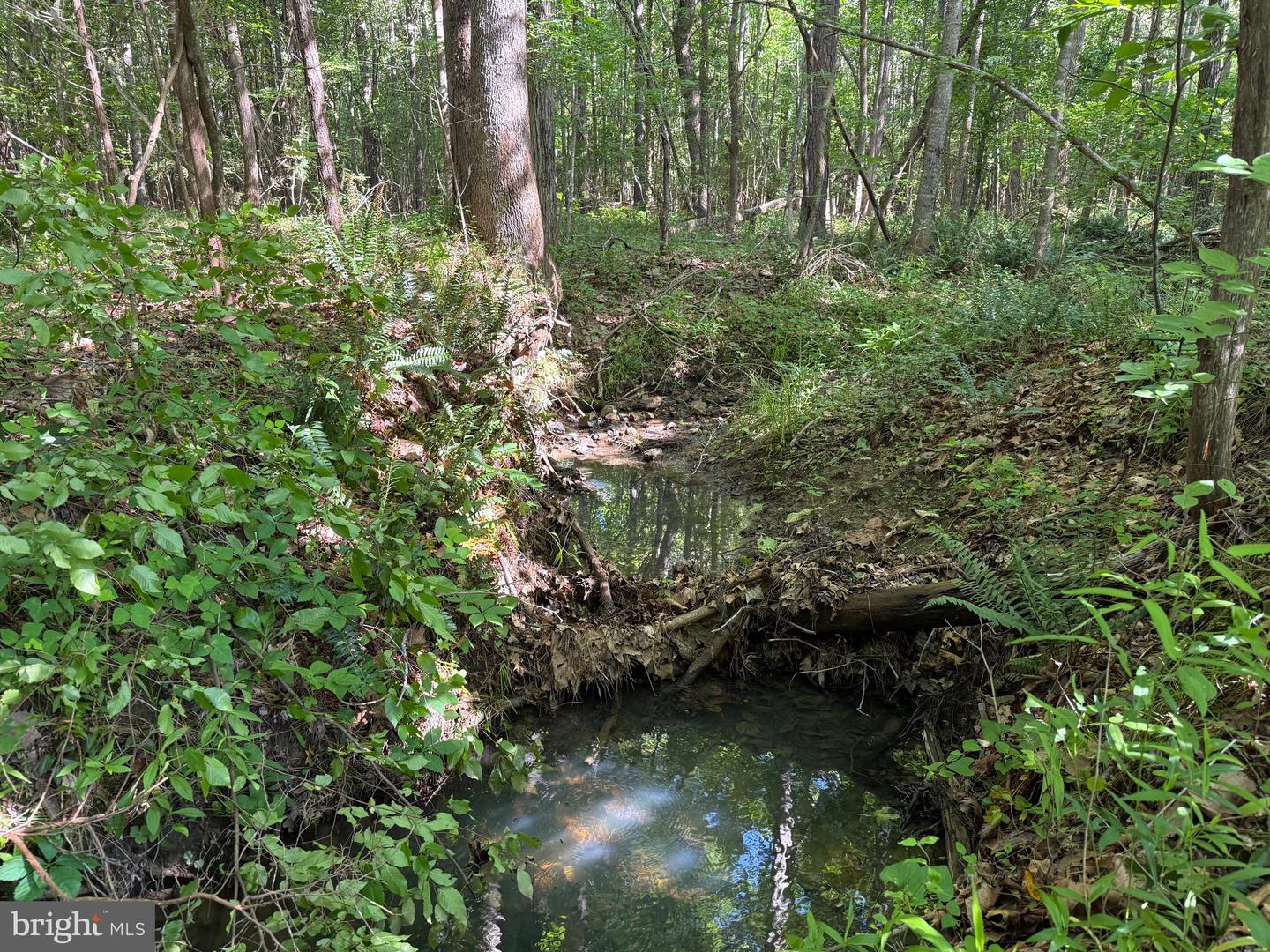 TBD SELMA RD TRACT 1, JETERSVILLE, Virginia 23083, ,Land,For sale,TBD SELMA RD TRACT 1,VAAM2000070 MLS # VAAM2000070