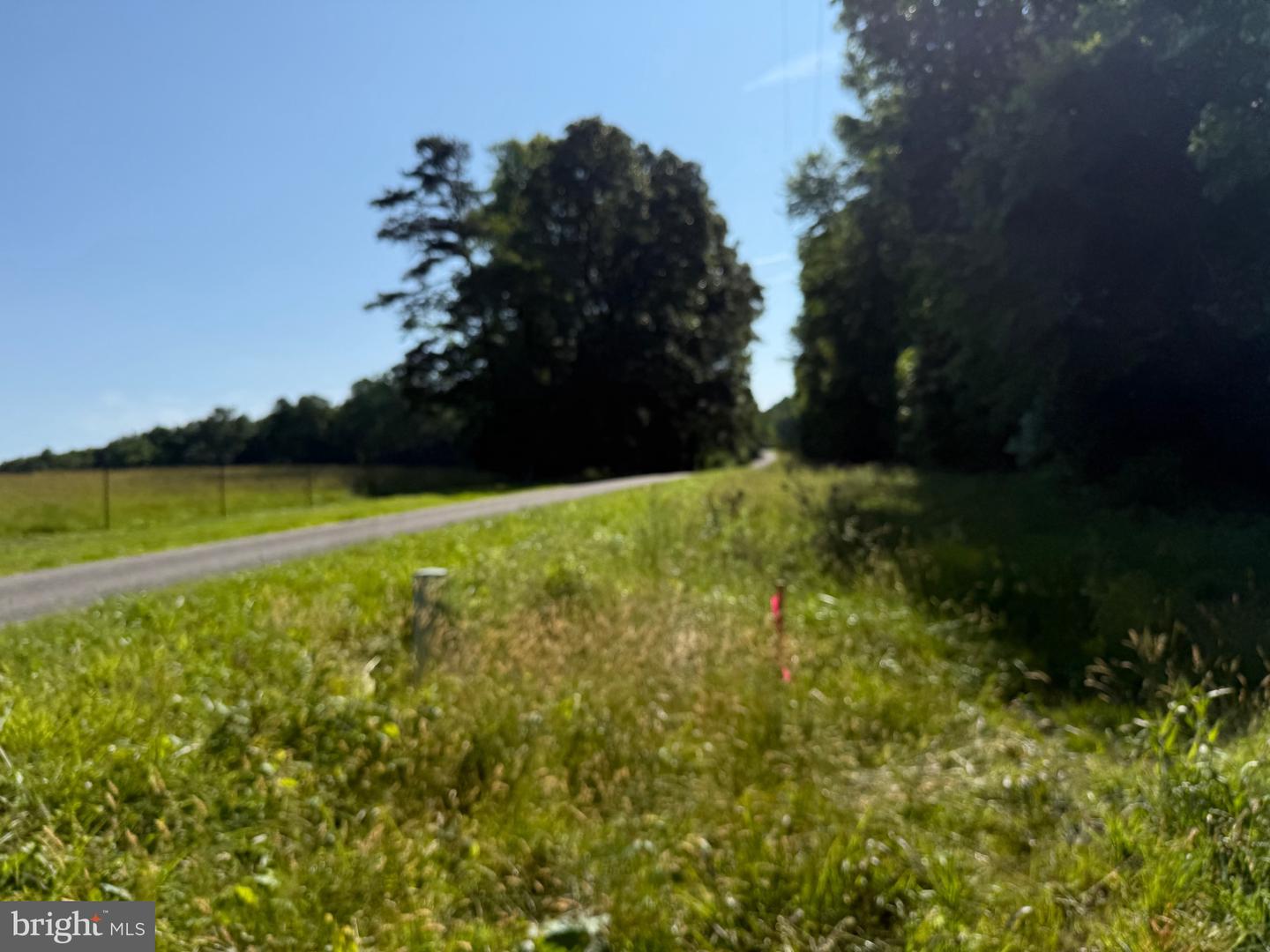 TBD SELMA RD TRACT 1, JETERSVILLE, Virginia 23083, ,Land,For sale,TBD SELMA RD TRACT 1,VAAM2000070 MLS # VAAM2000070