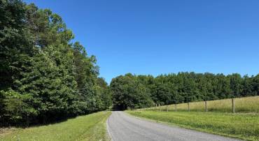 TBD SELMA RD TRACT 1, JETERSVILLE, Virginia 23083, ,Land,For sale,TBD SELMA RD TRACT 1,VAAM2000070 MLS # VAAM2000070