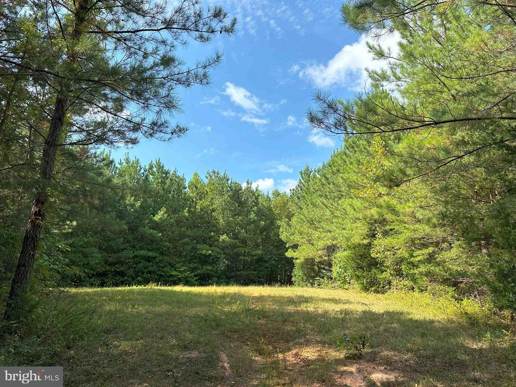 DAVIS LOWGROUND ROAD (TRACT: BIG JUNIPER-2), KEYSVILLE, Virginia 23947, ,Farm,For sale,DAVIS LOWGROUND ROAD (TRACT: BIG JUNIPER-2),VALB2000052 MLS # VALB2000052
