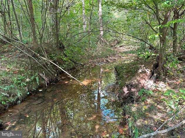 DAVIS LOWGROUND ROAD (TRACT: BIG JUNIPER-2), KEYSVILLE, Virginia 23947, ,Farm,For sale,DAVIS LOWGROUND ROAD (TRACT: BIG JUNIPER-2),VALB2000052 MLS # VALB2000052