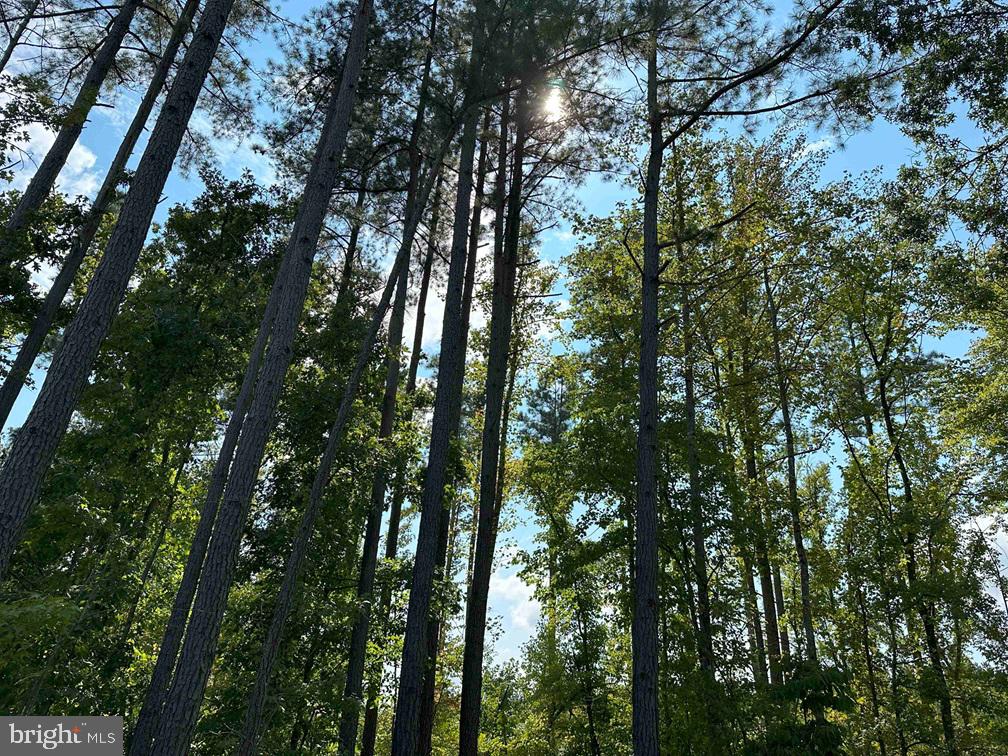 DAVIS LOWGROUND ROAD (TRACT: BIG JUNIPER-2), KEYSVILLE, Virginia 23947, ,Farm,For sale,DAVIS LOWGROUND ROAD (TRACT: BIG JUNIPER-2),VALB2000052 MLS # VALB2000052