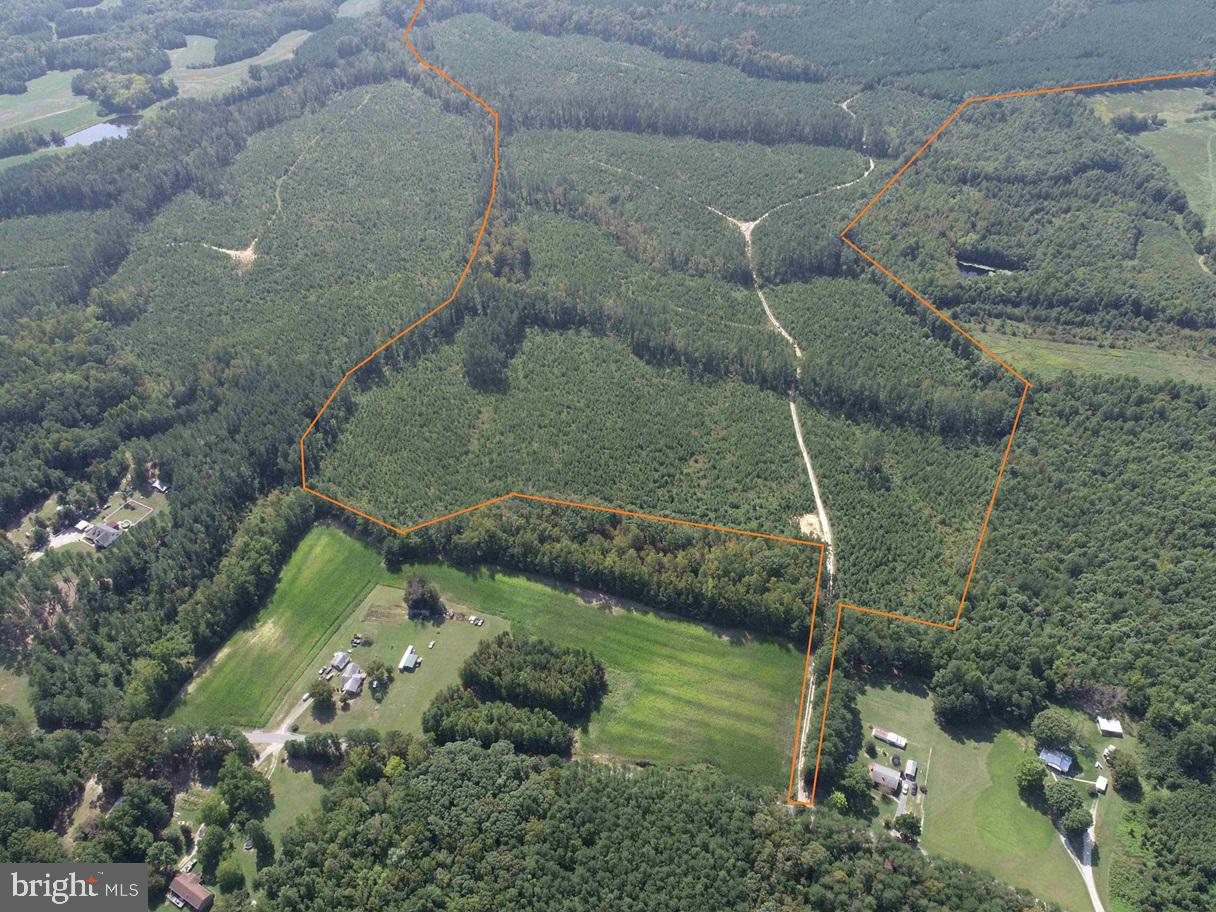DAVIS LOWGROUND ROAD (TRACT: BIG JUNIPER-2), KEYSVILLE, Virginia 23947, ,Farm,For sale,DAVIS LOWGROUND ROAD (TRACT: BIG JUNIPER-2),VALB2000052 MLS # VALB2000052