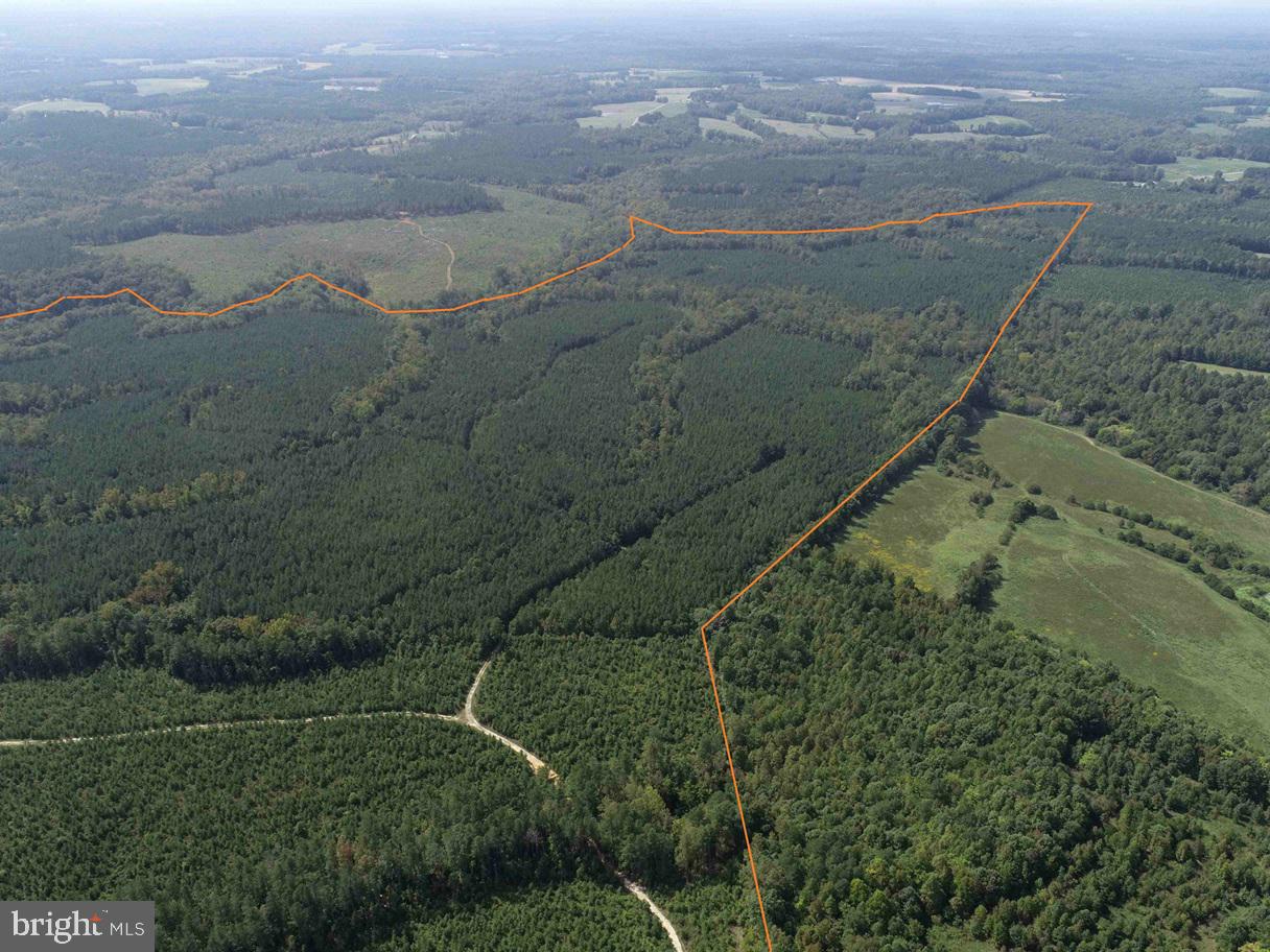 DAVIS LOWGROUND ROAD (TRACT: BIG JUNIPER-2), KEYSVILLE, Virginia 23947, ,Farm,For sale,DAVIS LOWGROUND ROAD (TRACT: BIG JUNIPER-2),VALB2000052 MLS # VALB2000052