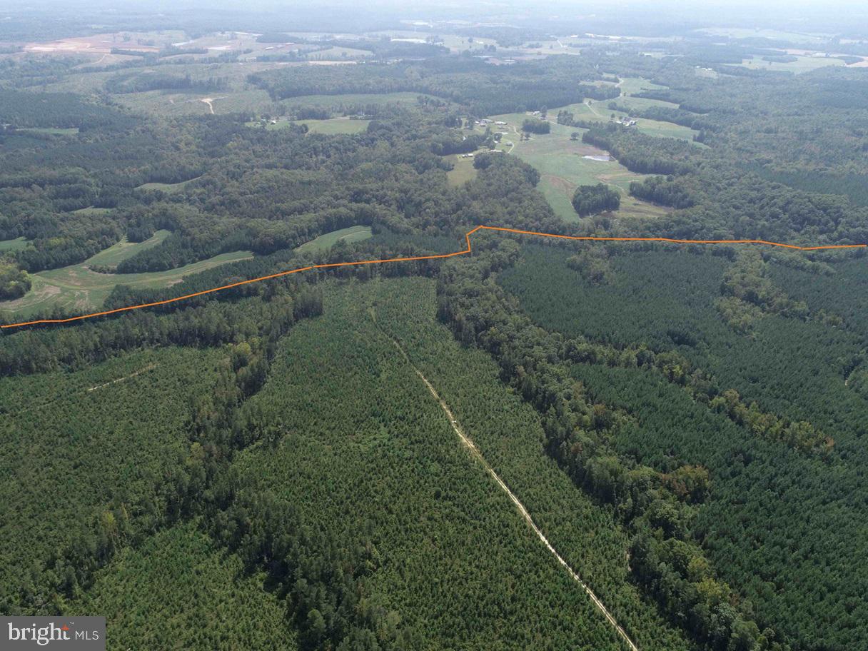 DAVIS LOWGROUND ROAD (TRACT: BIG JUNIPER-2), KEYSVILLE, Virginia 23947, ,Farm,For sale,DAVIS LOWGROUND ROAD (TRACT: BIG JUNIPER-2),VALB2000052 MLS # VALB2000052