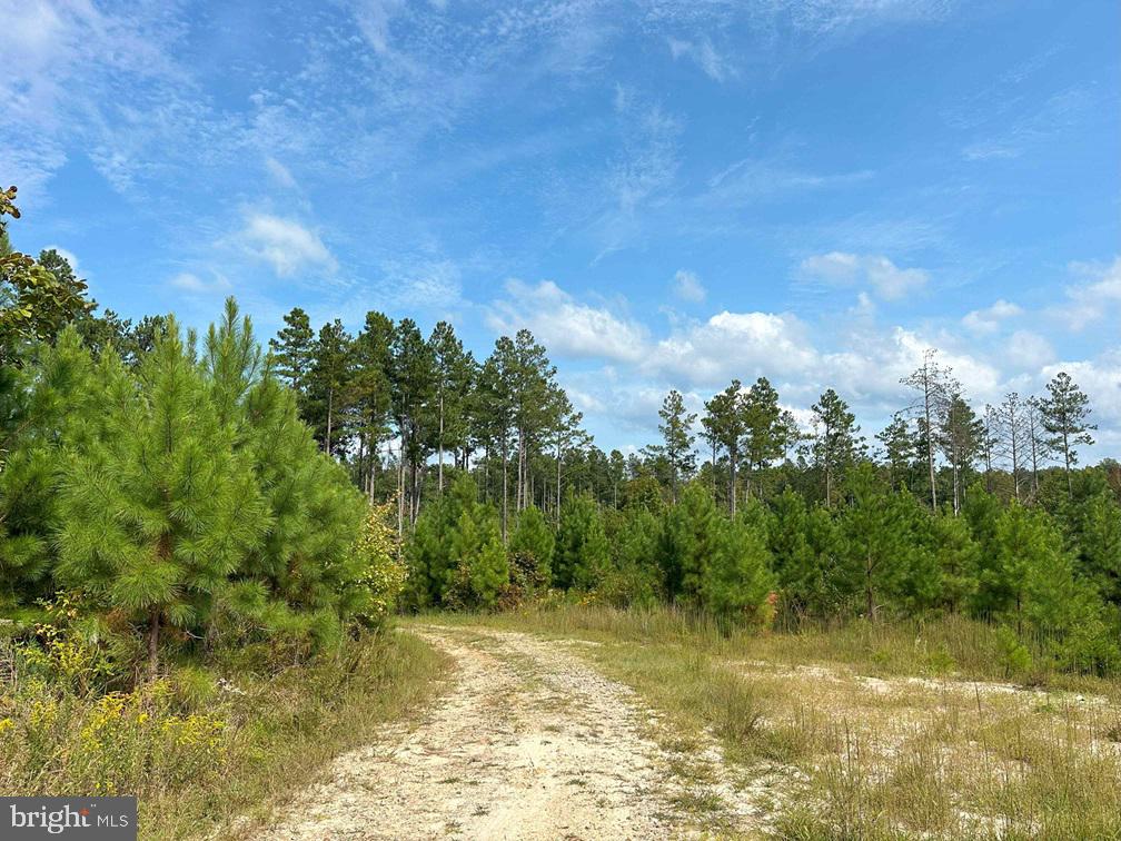 DAVIS LOWGROUND ROAD (TRACT: BIG JUNIPER-2), KEYSVILLE, Virginia 23947, ,Farm,For sale,DAVIS LOWGROUND ROAD (TRACT: BIG JUNIPER-2),VALB2000052 MLS # VALB2000052