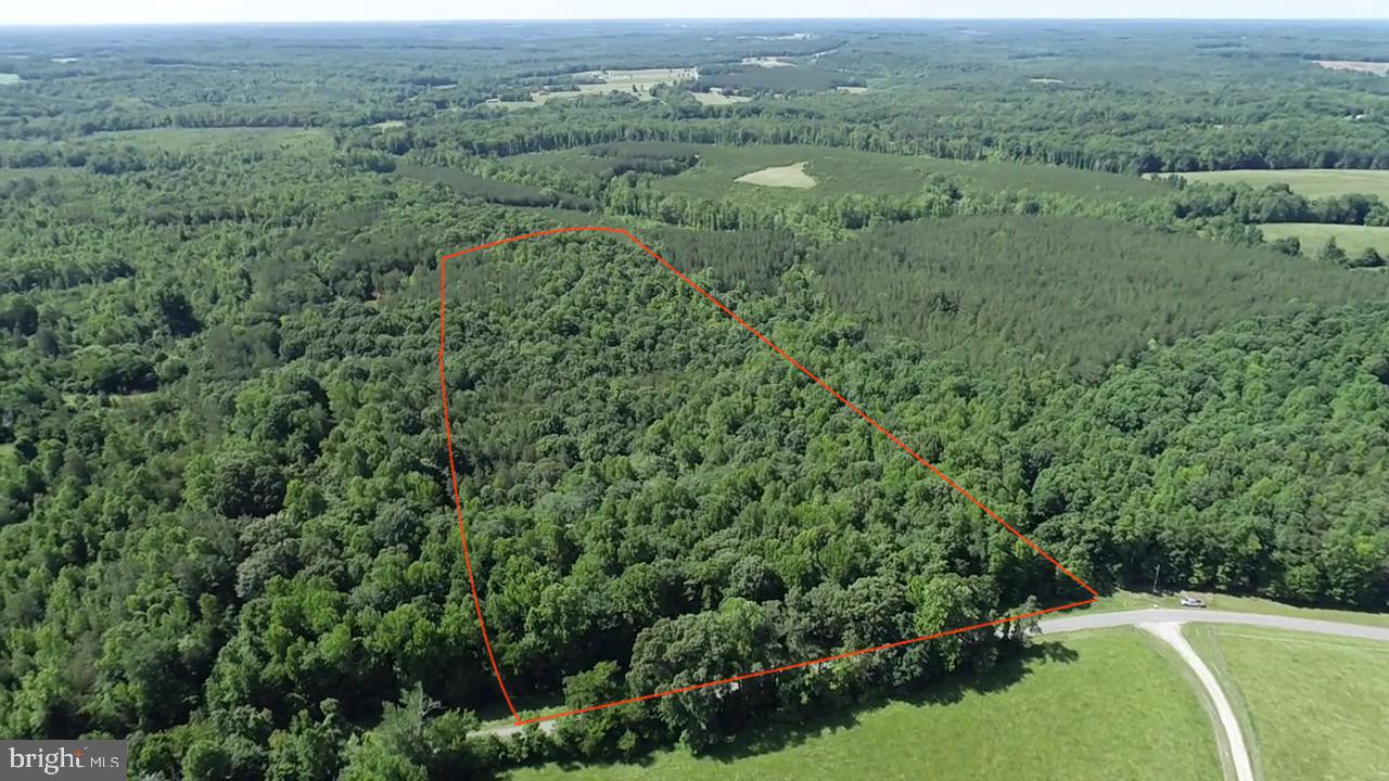 TBD SELMA RD TRACT 2, JETERSVILLE, Virginia 23083, ,Land,For sale,TBD SELMA RD TRACT 2,VAAM2000072 MLS # VAAM2000072