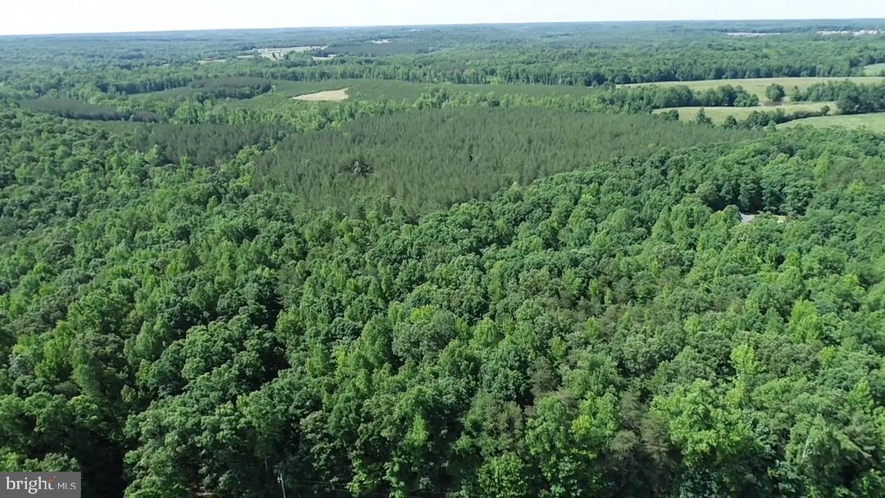 TBD SELMA RD TRACT 2, JETERSVILLE, Virginia 23083, ,Land,For sale,TBD SELMA RD TRACT 2,VAAM2000072 MLS # VAAM2000072