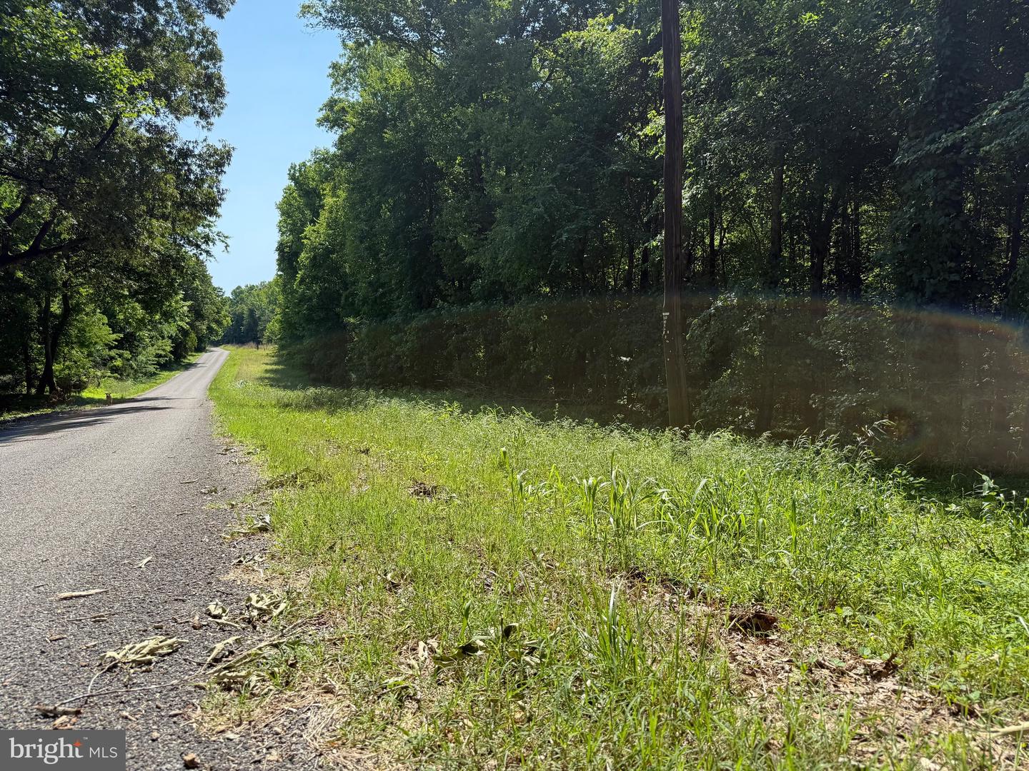 TBD SELMA RD TRACT 2, JETERSVILLE, Virginia 23083, ,Land,For sale,TBD SELMA RD TRACT 2,VAAM2000072 MLS # VAAM2000072