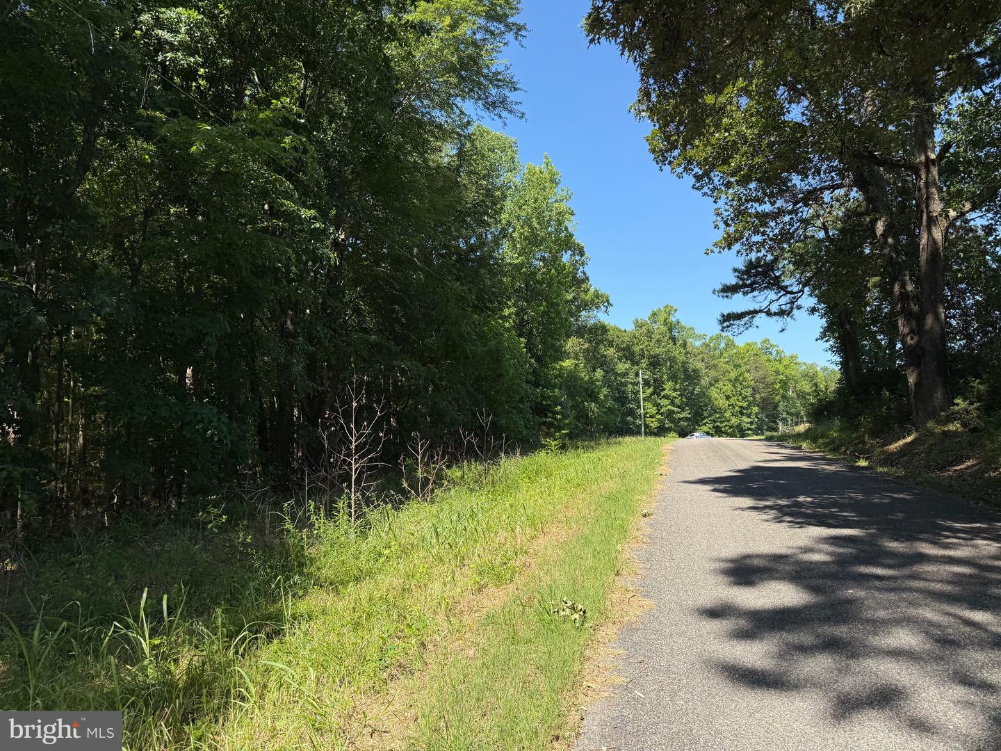 TBD SELMA RD TRACT 2, JETERSVILLE, Virginia 23083, ,Land,For sale,TBD SELMA RD TRACT 2,VAAM2000072 MLS # VAAM2000072