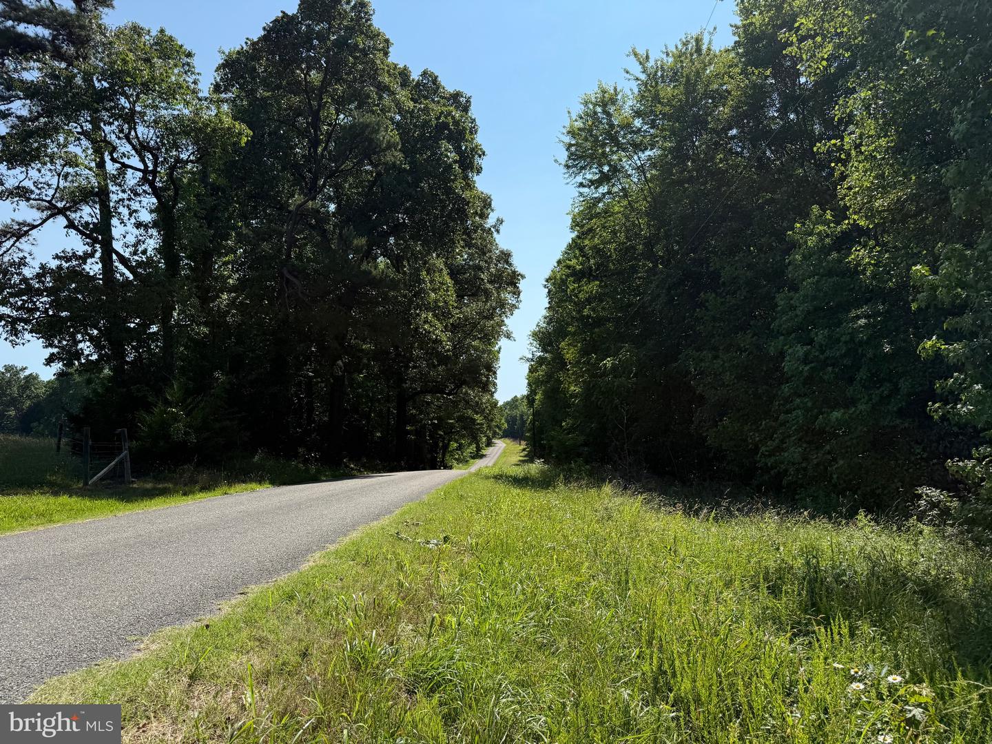 TBD SELMA RD TRACT 2, JETERSVILLE, Virginia 23083, ,Land,For sale,TBD SELMA RD TRACT 2,VAAM2000072 MLS # VAAM2000072