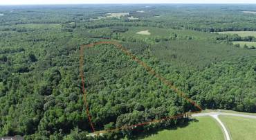 TBD SELMA RD TRACT 2, JETERSVILLE, Virginia 23083, ,Land,For sale,TBD SELMA RD TRACT 2,VAAM2000072 MLS # VAAM2000072