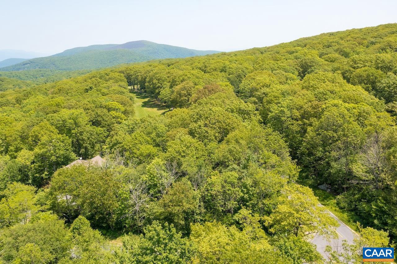 1761 BLUE RIDGE DR #136, WINTERGREEN RESORT, Virginia 22967, ,Land,For sale,1761 BLUE RIDGE DR #136,665649 MLS # 665649
