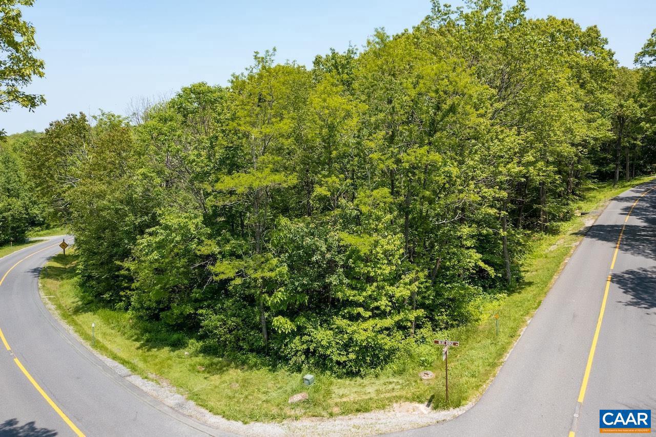 1761 BLUE RIDGE DR #136, WINTERGREEN RESORT, Virginia 22967, ,Land,For sale,1761 BLUE RIDGE DR #136,665649 MLS # 665649