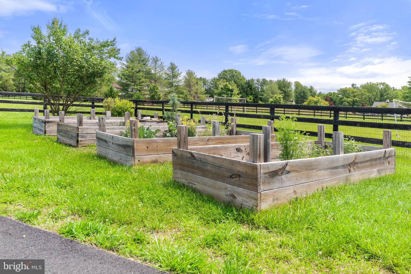 21073 ST LOUIS RD, MIDDLEBURG, Virginia 20117, 4 Bedrooms Bedrooms, ,3 BathroomsBathrooms,Residential,For sale,21073 ST LOUIS RD,VALO2096552 MLS # VALO2096552