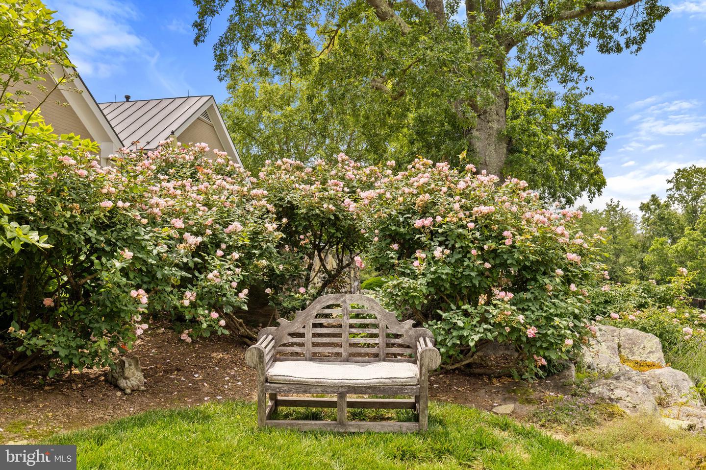 6452 OLD GOOSE CREEK RD, MIDDLEBURG, Virginia 20117, 3 Bedrooms Bedrooms, ,4 BathroomsBathrooms,Residential,For sale,6452 OLD GOOSE CREEK RD,VAFQ2016848 MLS # VAFQ2016848