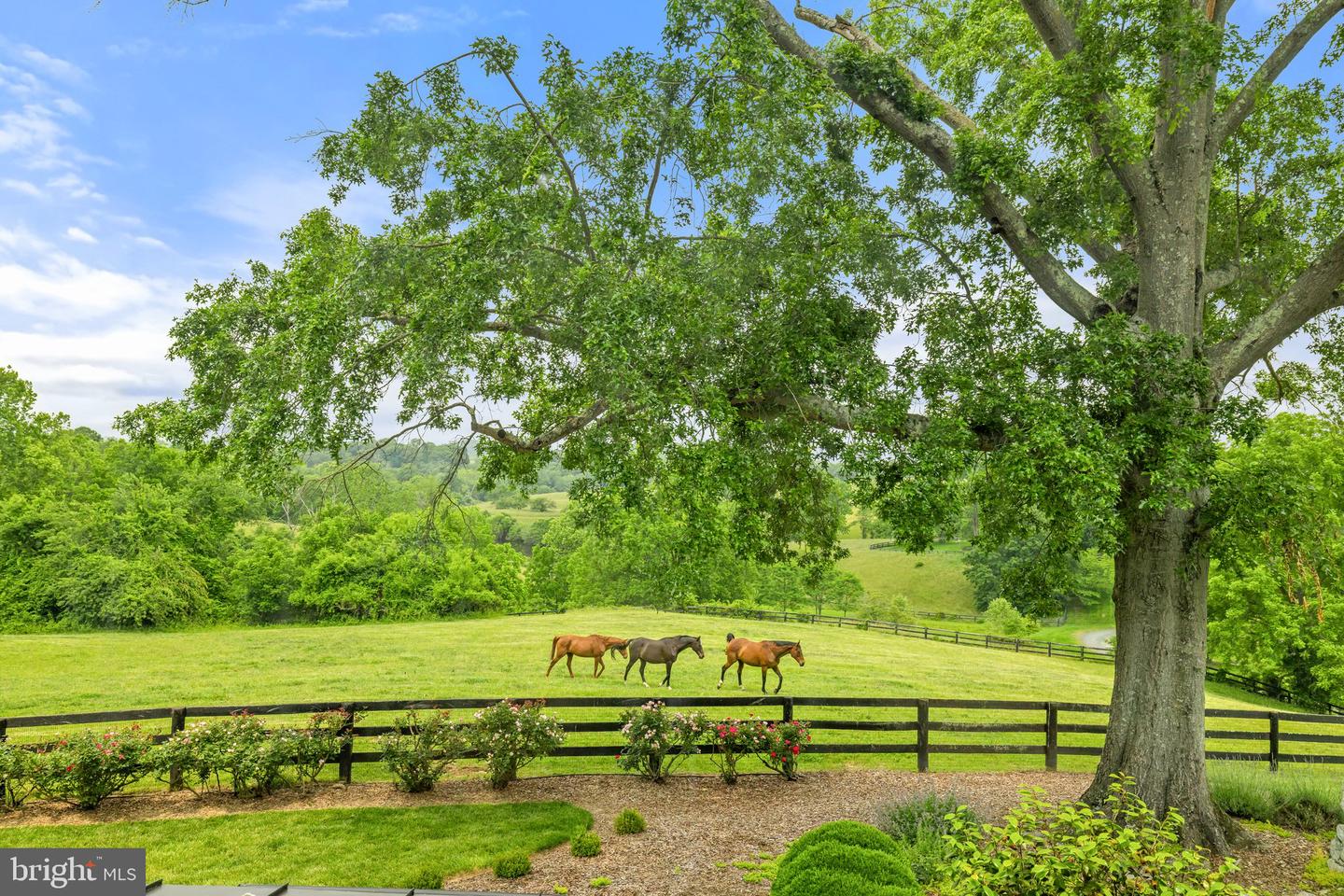6452 OLD GOOSE CREEK RD, MIDDLEBURG, Virginia 20117, 3 Bedrooms Bedrooms, ,4 BathroomsBathrooms,Residential,For sale,6452 OLD GOOSE CREEK RD,VAFQ2016848 MLS # VAFQ2016848