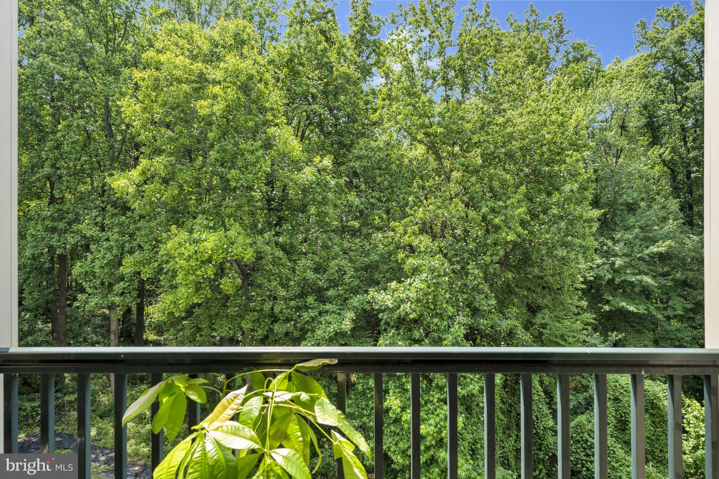 2903 SAINTSBURY PLAZA ##302, FAIRFAX, Virginia 22031, 3 Bedrooms Bedrooms, ,2 BathroomsBathrooms,Residential,For sale,2903 SAINTSBURY PLAZA ##302,VAFX2244750 MLS # VAFX2244750
