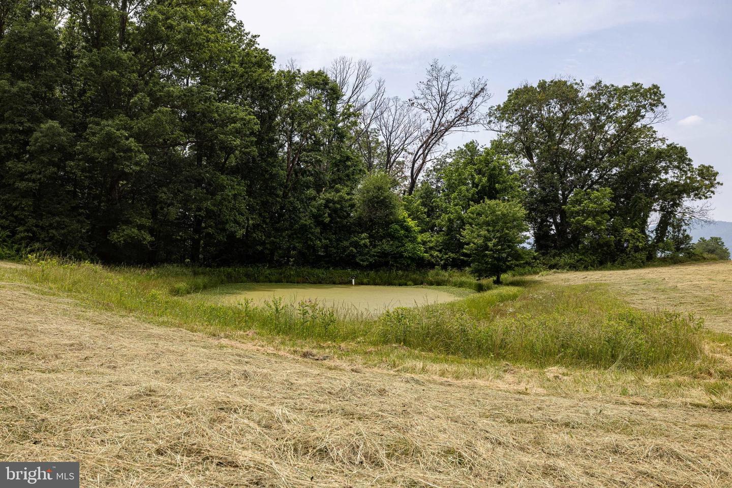 5408 US HIGHWAY 340 N, RILEYVILLE, Virginia 22650, 3 Bedrooms Bedrooms, ,2 BathroomsBathrooms,Residential,For sale,5408 US HIGHWAY 340 N,VAPA2005006 MLS # VAPA2005006