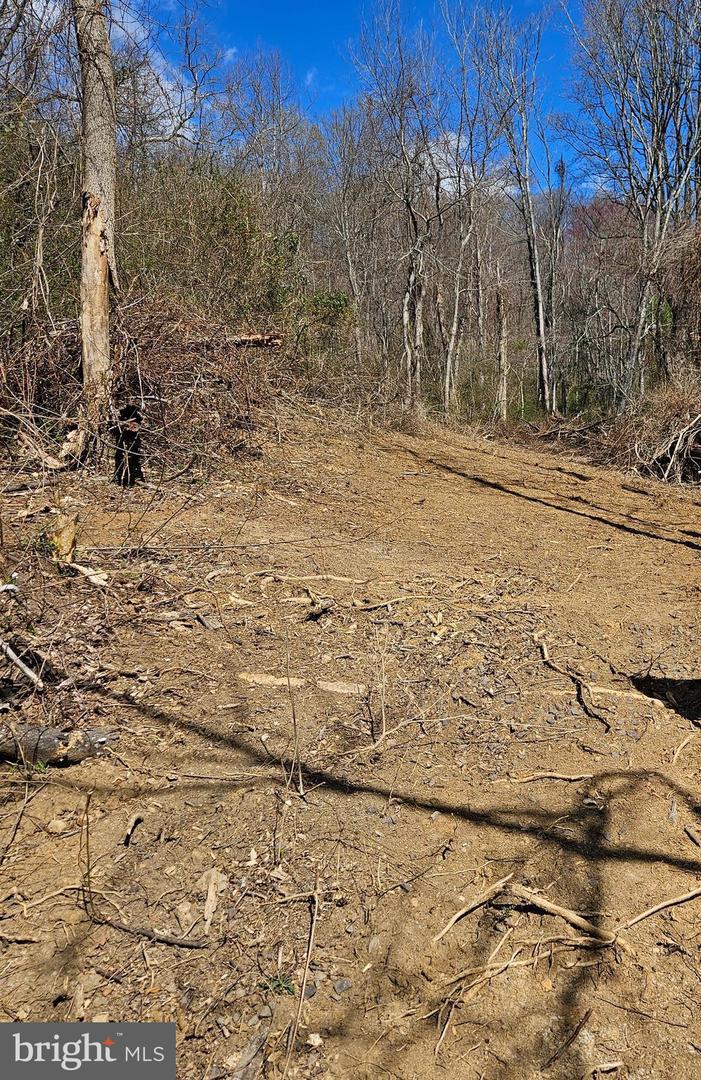 0 MOON ROAD, SPERRYVILLE, Virginia 22740, ,Land,For sale,0 MOON ROAD,VARP2002088 MLS # VARP2002088