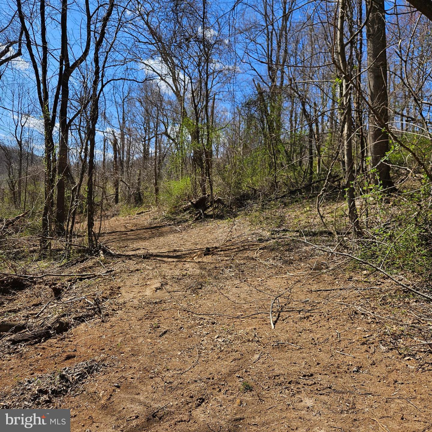 0 MOON ROAD, SPERRYVILLE, Virginia 22740, ,Land,For sale,0 MOON ROAD,VARP2002088 MLS # VARP2002088