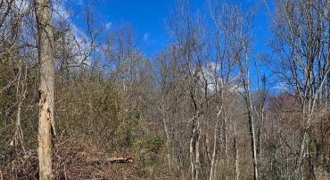 0 MOON ROAD, SPERRYVILLE, Virginia 22740, ,Land,For sale,0 MOON ROAD,VARP2002088 MLS # VARP2002088