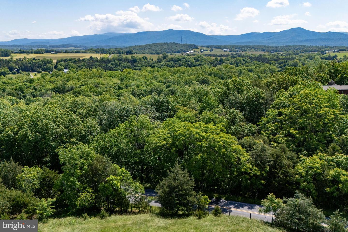 0 S PAGE VALLEY RD, LURAY, Virginia 22835, ,Land,For sale,0 S PAGE VALLEY RD,VAPA2004978 MLS # VAPA2004978