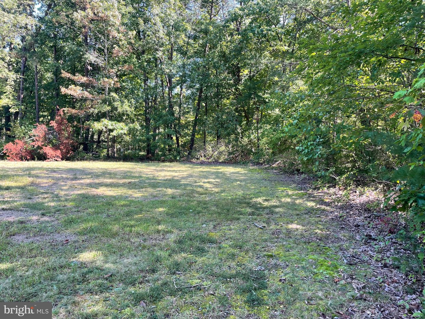 20296 CONSTITUTION HWY, ORANGE, Virginia 22960, 3 Bedrooms Bedrooms, 9 Rooms Rooms,1 BathroomBathrooms,Residential,For sale,20296 CONSTITUTION HWY,VAOR2007992 MLS # VAOR2007992