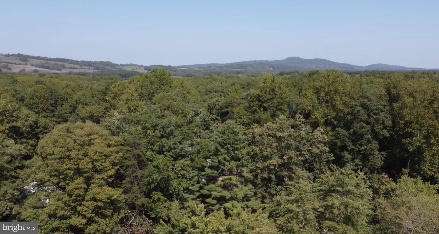 20296 CONSTITUTION HWY, ORANGE, Virginia 22960, 3 Bedrooms Bedrooms, 9 Rooms Rooms,1 BathroomBathrooms,Residential,For sale,20296 CONSTITUTION HWY,VAOR2007992 MLS # VAOR2007992