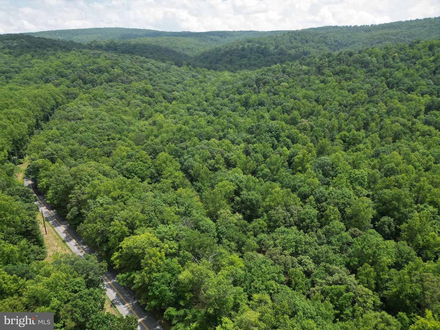 MOUNT CARMEL RD, BOYCE, Virginia 22620, ,Land,For sale,MOUNT CARMEL RD,VACL2003838 MLS # VACL2003838
