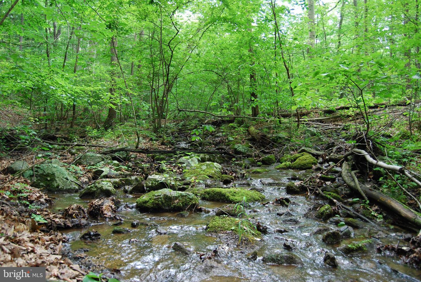 MOUNT CARMEL RD, BOYCE, Virginia 22620, ,Land,For sale,MOUNT CARMEL RD,VACL2003838 MLS # VACL2003838