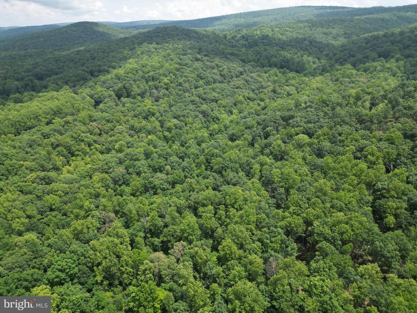 MOUNT CARMEL RD, BOYCE, Virginia 22620, ,Land,For sale,MOUNT CARMEL RD,VACL2003838 MLS # VACL2003838