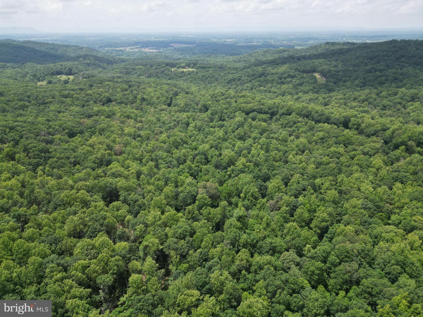 MOUNT CARMEL RD, BOYCE, Virginia 22620, ,Land,For sale,MOUNT CARMEL RD,VACL2003838 MLS # VACL2003838