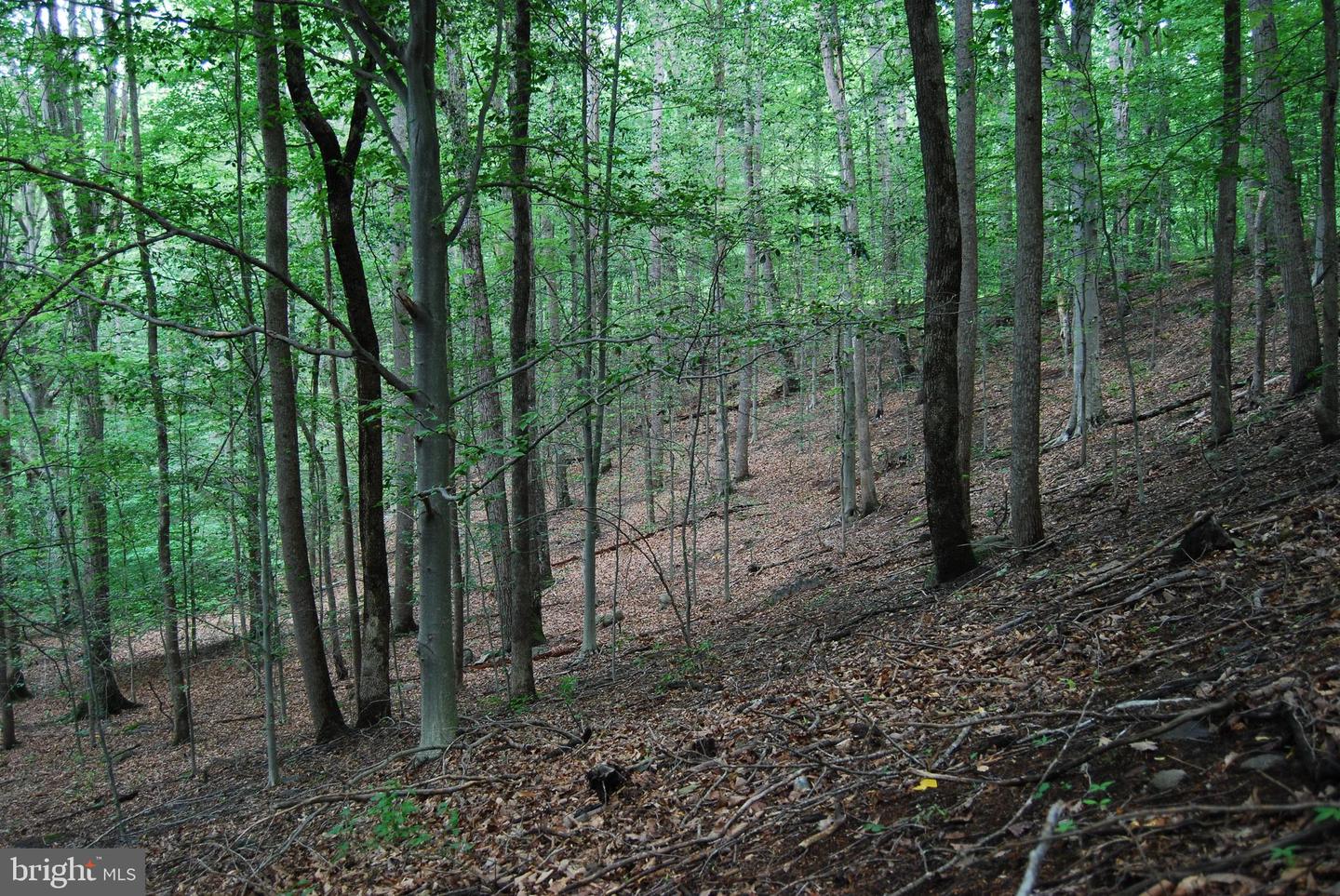 MOUNT CARMEL RD, BOYCE, Virginia 22620, ,Land,For sale,MOUNT CARMEL RD,VACL2003838 MLS # VACL2003838