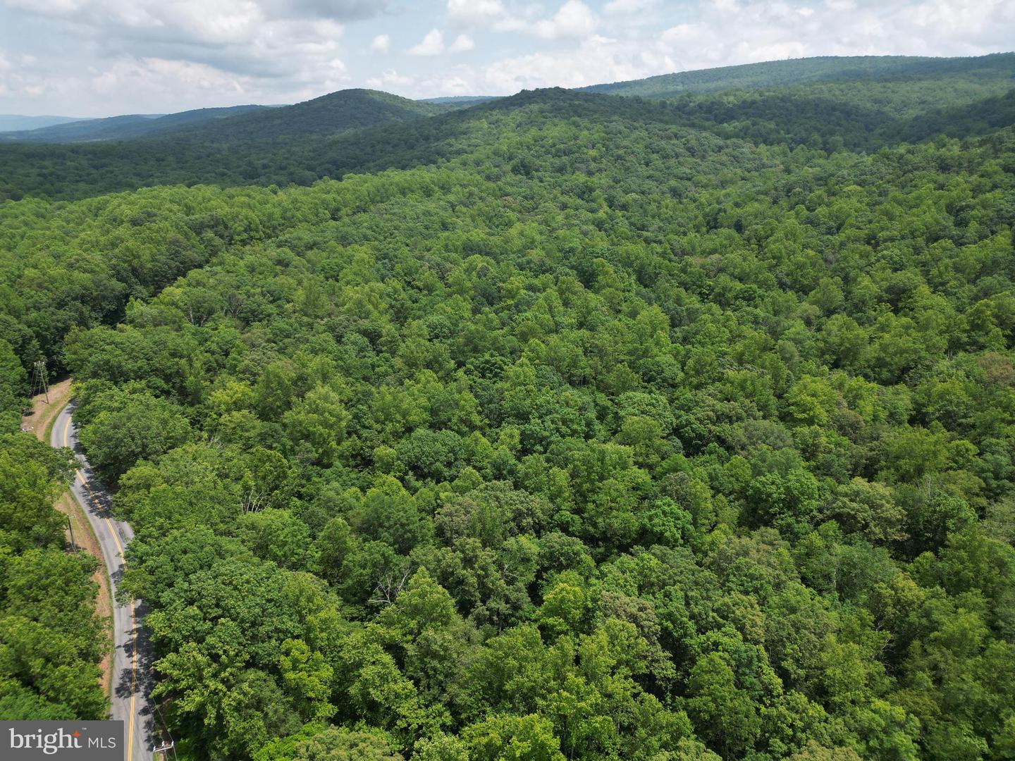 MOUNT CARMEL RD, BOYCE, Virginia 22620, ,Land,For sale,MOUNT CARMEL RD,VACL2003838 MLS # VACL2003838