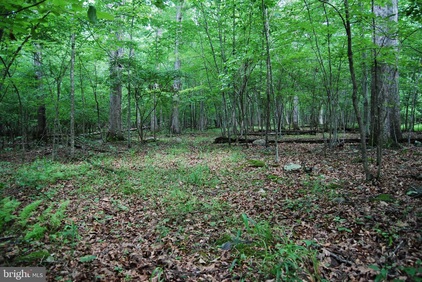 MOUNT CARMEL RD, BOYCE, Virginia 22620, ,Land,For sale,MOUNT CARMEL RD,VACL2003838 MLS # VACL2003838