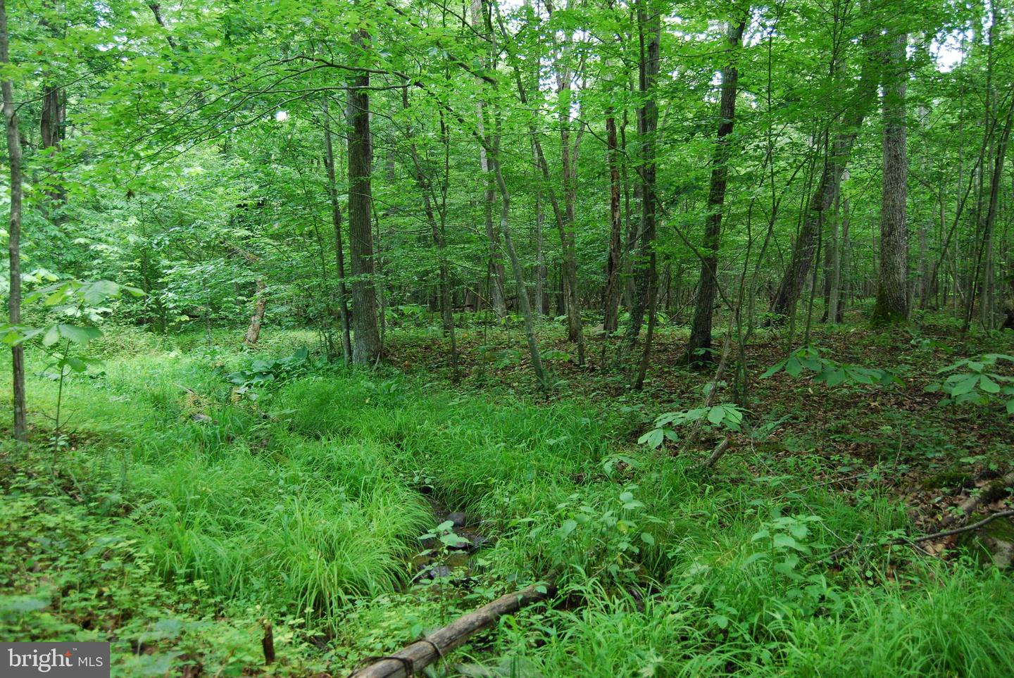 MOUNT CARMEL RD, BOYCE, Virginia 22620, ,Land,For sale,MOUNT CARMEL RD,VACL2003838 MLS # VACL2003838