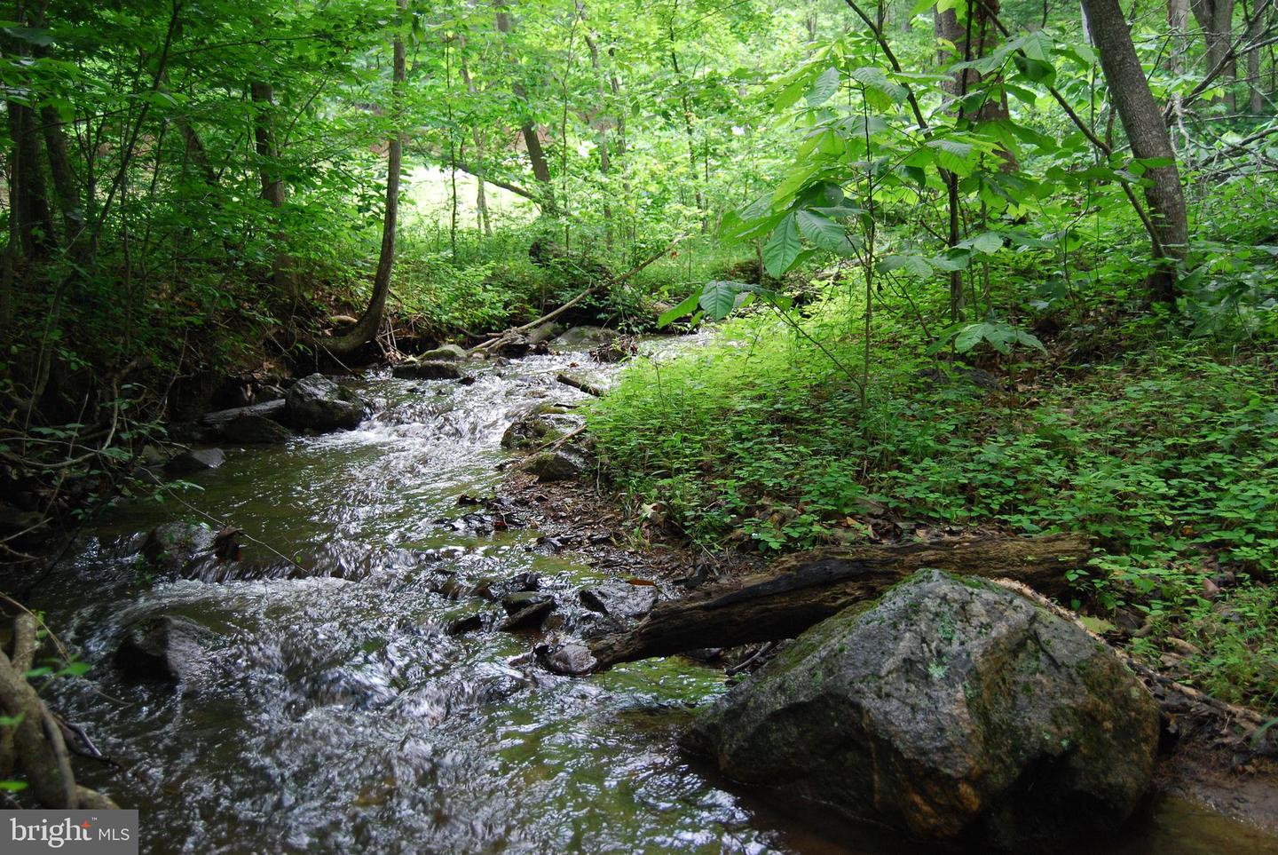 MOUNT CARMEL RD, BOYCE, Virginia 22620, ,Land,For sale,MOUNT CARMEL RD,VACL2003838 MLS # VACL2003838