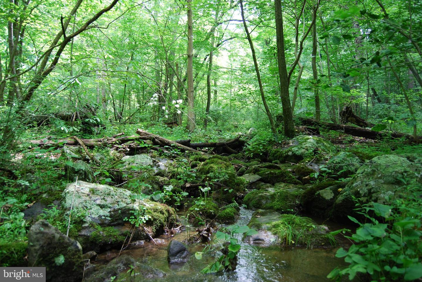 MOUNT CARMEL RD, BOYCE, Virginia 22620, ,Land,For sale,MOUNT CARMEL RD,VACL2003838 MLS # VACL2003838