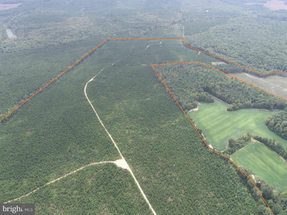 BETHLEHEM ROAD (RT. 636) (TRACT: BETHLEHEM-1), BOWLING GREEN, Virginia 22427, ,Farm,For sale,BETHLEHEM ROAD (RT. 636) (TRACT: BETHLEHEM-1),VACV2008304 MLS # VACV2008304