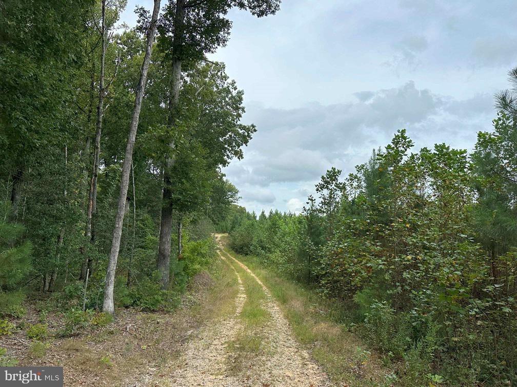 BETHLEHEM ROAD (RT. 636) (TRACT: BETHLEHEM-1), BOWLING GREEN, Virginia 22427, ,Farm,For sale,BETHLEHEM ROAD (RT. 636) (TRACT: BETHLEHEM-1),VACV2008304 MLS # VACV2008304