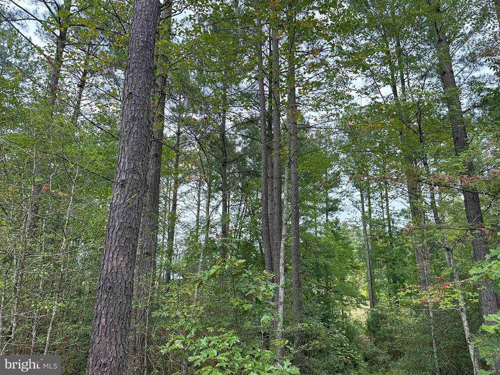 BETHLEHEM ROAD (RT. 636) (TRACT: BETHLEHEM-1), BOWLING GREEN, Virginia 22427, ,Farm,For sale,BETHLEHEM ROAD (RT. 636) (TRACT: BETHLEHEM-1),VACV2008304 MLS # VACV2008304