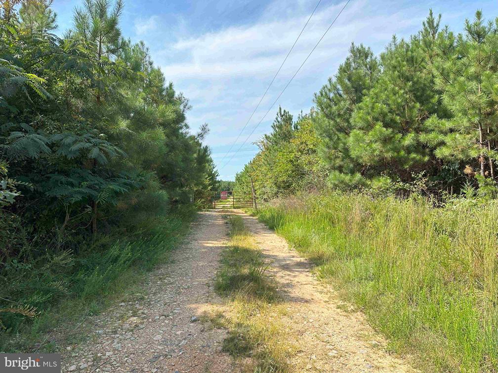 CUMBERLAND RD. (ST. RT. 45) (TRACT GUINEA MILLS-1), CUMBERLAND, Virginia 23040, ,Farm,For sale,CUMBERLAND RD. (ST. RT. 45) (TRACT GUINEA MILLS-1),VACB2000058 MLS # VACB2000058