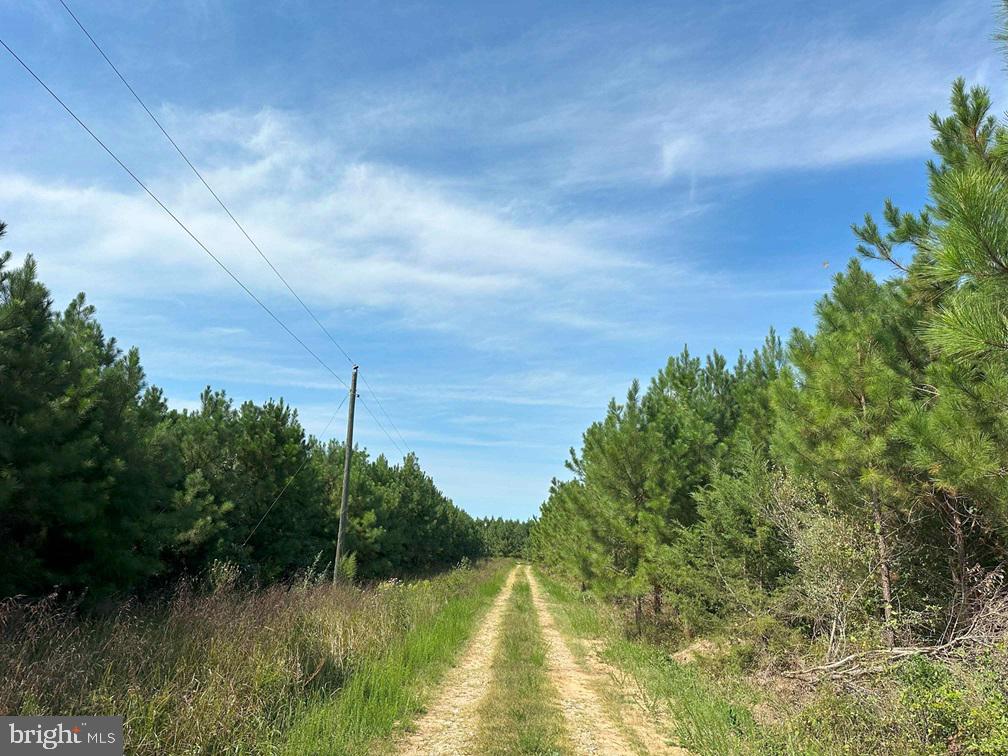 CUMBERLAND RD. (ST. RT. 45) (TRACT GUINEA MILLS-1), CUMBERLAND, Virginia 23040, ,Farm,For sale,CUMBERLAND RD. (ST. RT. 45) (TRACT GUINEA MILLS-1),VACB2000058 MLS # VACB2000058