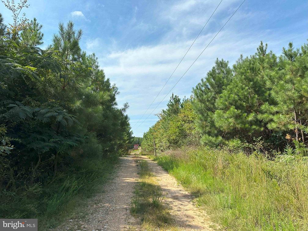 CUMBERLAND RD. (ST. RT. 45) (TRACT GUINEA MILLS-1), CUMBERLAND, Virginia 23040, ,Farm,For sale,CUMBERLAND RD. (ST. RT. 45) (TRACT GUINEA MILLS-1),VACB2000058 MLS # VACB2000058