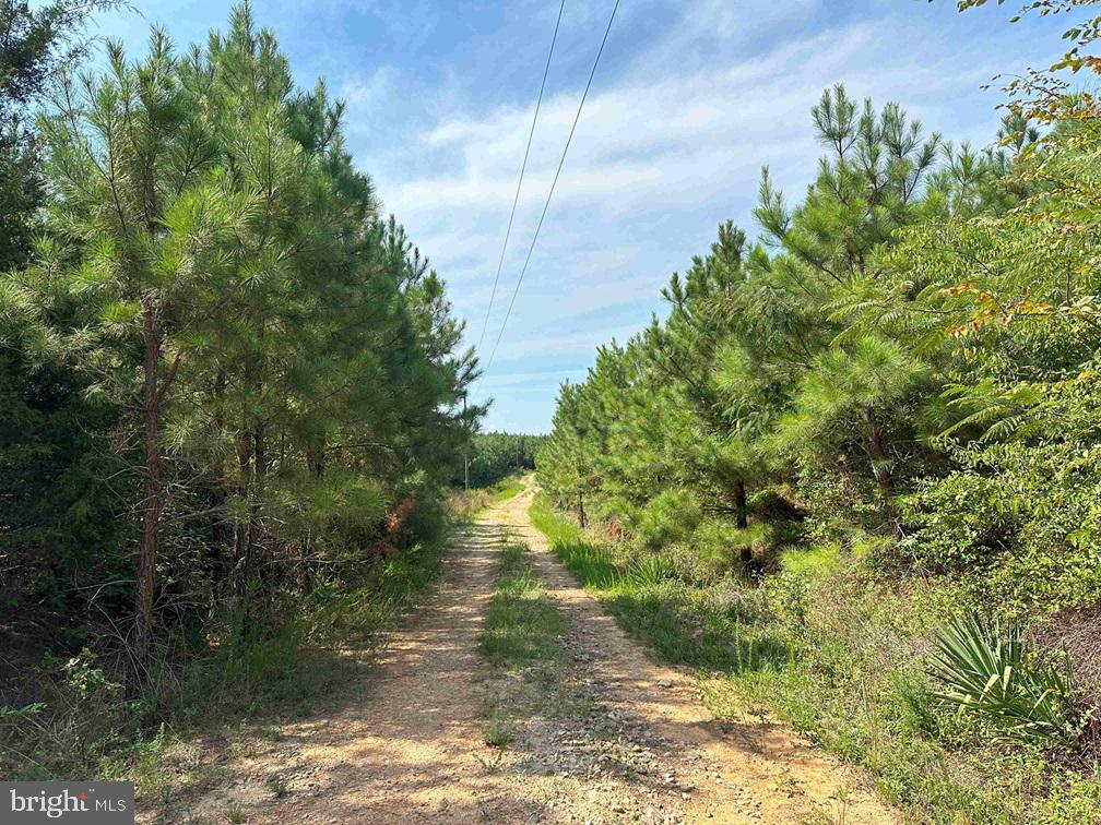 CUMBERLAND RD. (ST. RT. 45) (TRACT GUINEA MILLS-1), CUMBERLAND, Virginia 23040, ,Farm,For sale,CUMBERLAND RD. (ST. RT. 45) (TRACT GUINEA MILLS-1),VACB2000058 MLS # VACB2000058