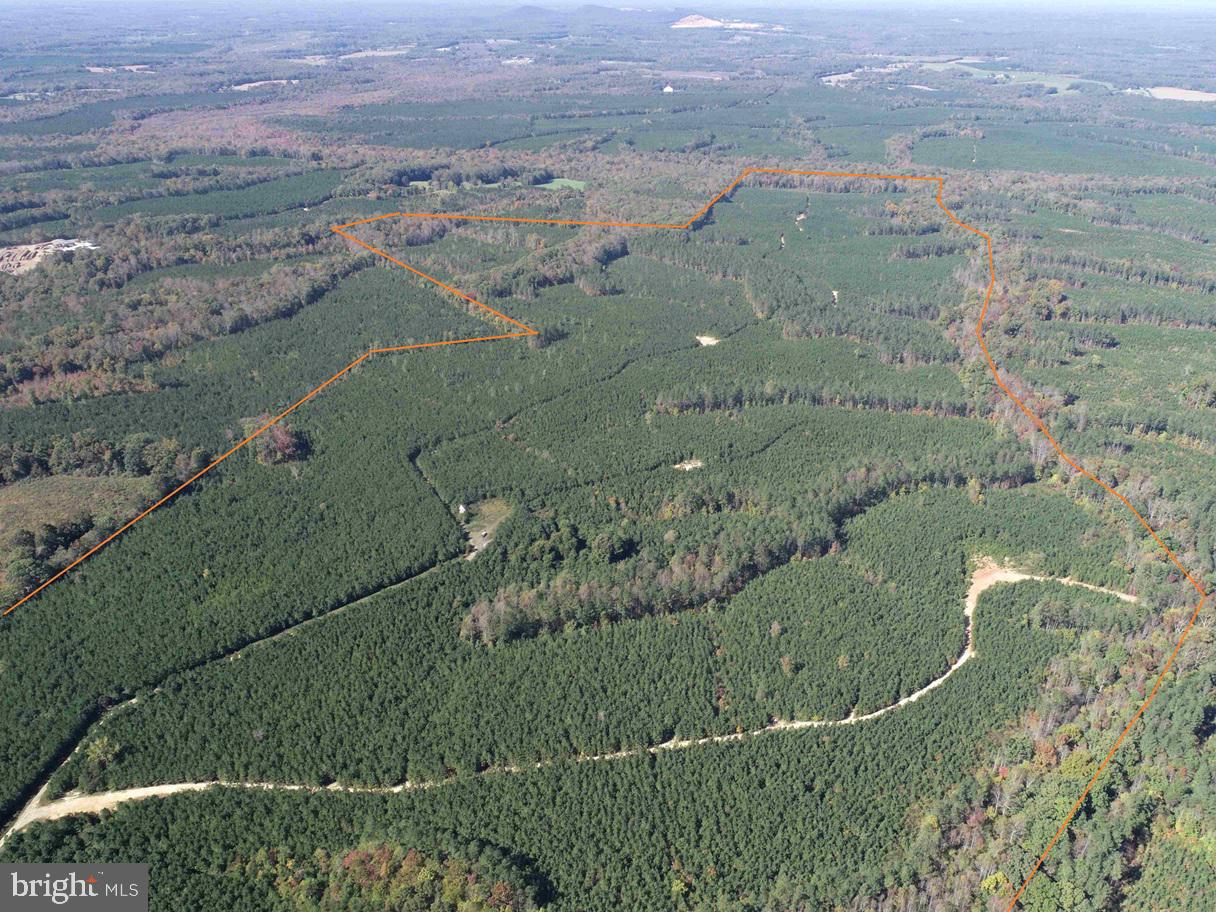 CUMBERLAND RD. (ST. RT. 45) (TRACT GUINEA MILLS-1), CUMBERLAND, Virginia 23040, ,Farm,For sale,CUMBERLAND RD. (ST. RT. 45) (TRACT GUINEA MILLS-1),VACB2000058 MLS # VACB2000058