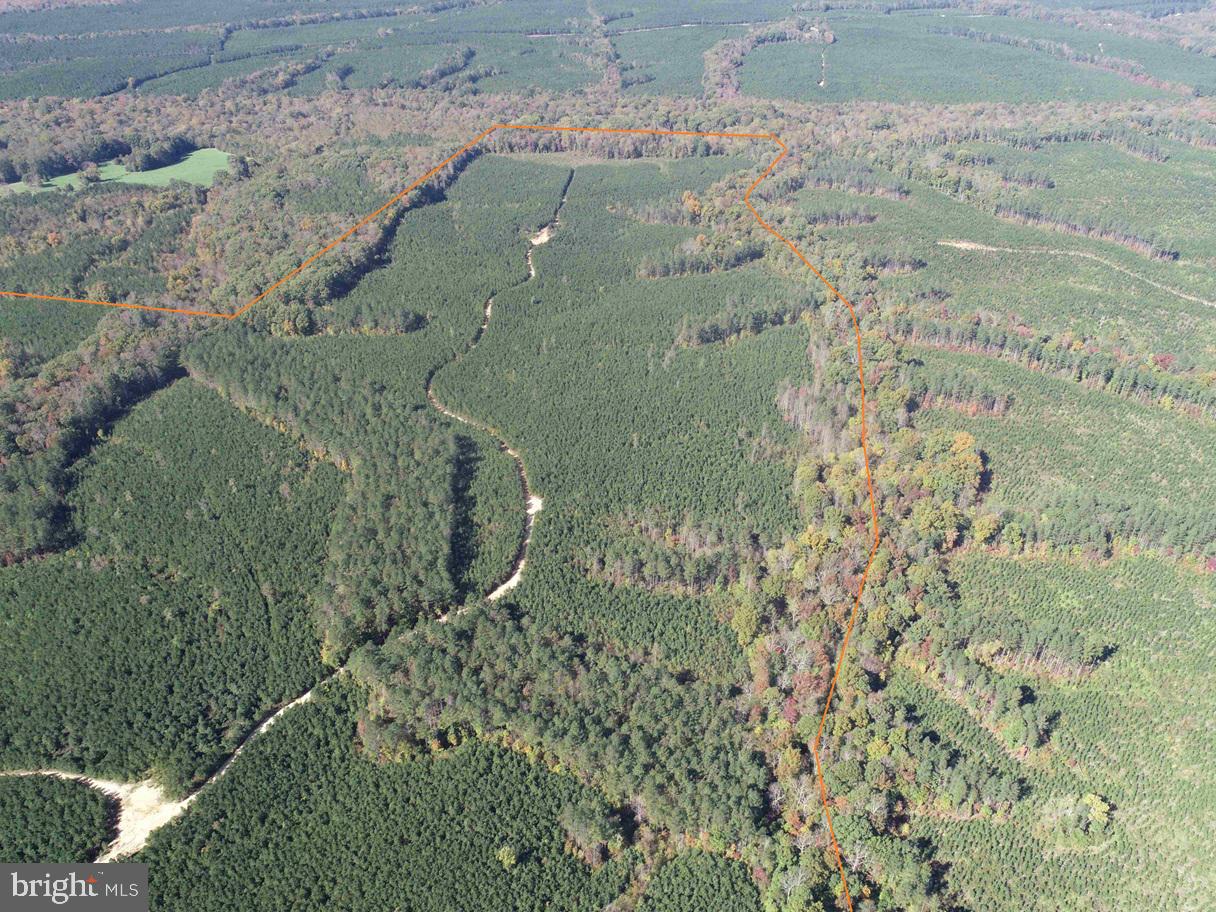 CUMBERLAND RD. (ST. RT. 45) (TRACT GUINEA MILLS-1), CUMBERLAND, Virginia 23040, ,Farm,For sale,CUMBERLAND RD. (ST. RT. 45) (TRACT GUINEA MILLS-1),VACB2000058 MLS # VACB2000058