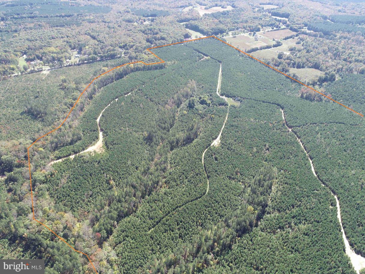 CUMBERLAND RD. (ST. RT. 45) (TRACT GUINEA MILLS-1), CUMBERLAND, Virginia 23040, ,Farm,For sale,CUMBERLAND RD. (ST. RT. 45) (TRACT GUINEA MILLS-1),VACB2000058 MLS # VACB2000058