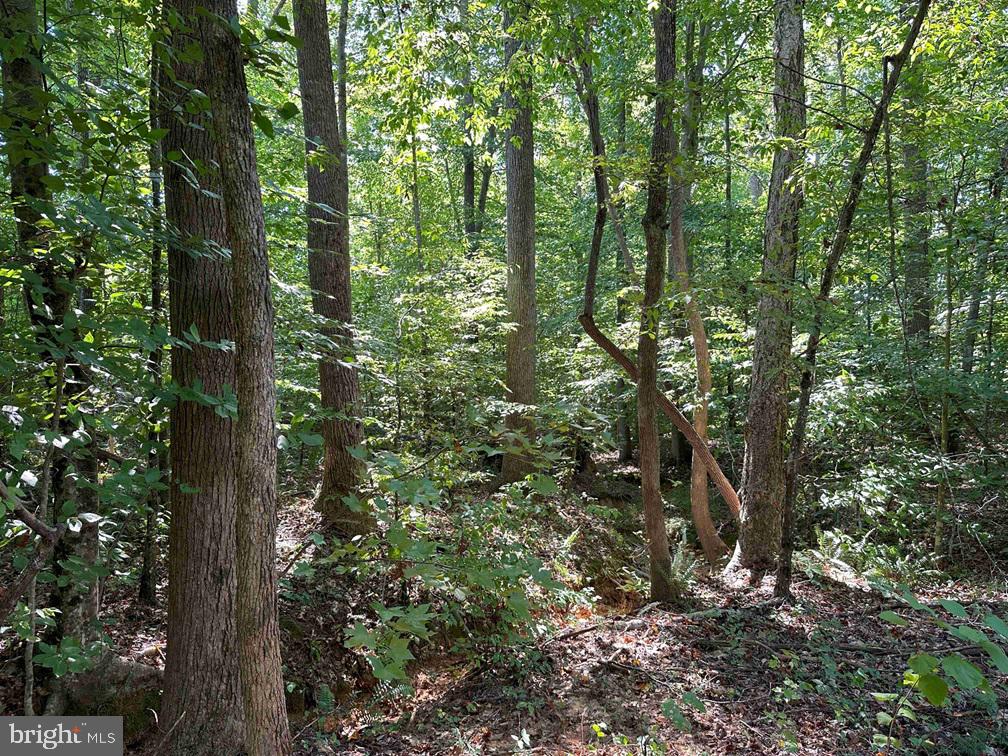 CUMBERLAND RD. (ST. RT. 45) (TRACT GUINEA MILLS-1), CUMBERLAND, Virginia 23040, ,Farm,For sale,CUMBERLAND RD. (ST. RT. 45) (TRACT GUINEA MILLS-1),VACB2000058 MLS # VACB2000058